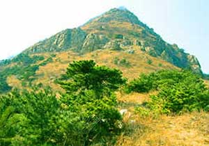 攀枝花大黑山森林公园天气 攀枝花大黑山森林公园天气