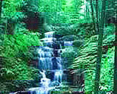 泸州三华山天气 泸州三华山天气