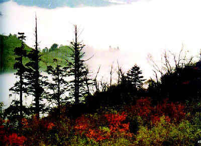 乐山大风顶天气 乐山大风顶天气