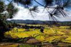 贵阳高坡乡天气 贵阳高坡乡天气