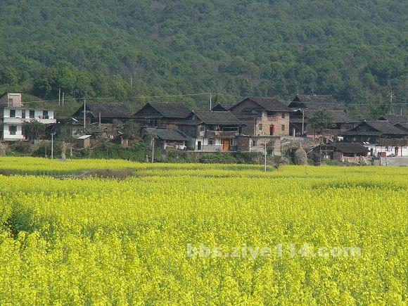 凯里侗乡肇兴天气 凯里侗乡肇兴天气