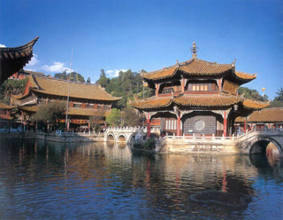 云南圆通动物园天气 云南圆通动物园天气