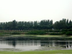 昆明东白沙河水库天气 昆明东白沙河水库天气