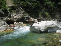 昆明白沙河休闲公园天气 昆明白沙河休闲公园天气