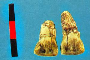 楚雄元谋人遗址天气 楚雄元谋人遗址天气