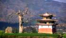 红河绿崖庙天气 红河绿崖庙天气