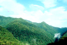 西安泾渭湿地自然保护区天气 西安泾渭湿地自然保护区天气