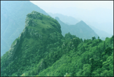 西安牛背梁自然保护区天气 西安牛背梁自然保护区天气