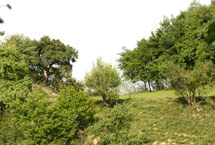 延安秦直道天气 延安秦直道天气