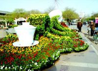 银川宁园天气 银川宁园天气