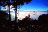 香港太平山天气 香港太平山天气