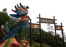 香港凤凰径天气 香港凤凰径天气