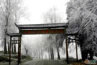 乳源南方红豆杉森林公园天气 乳源南方红豆杉森林公园天气