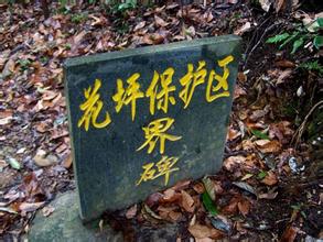 龙胜花坪自然保护区天气 龙胜花坪自然保护区天气