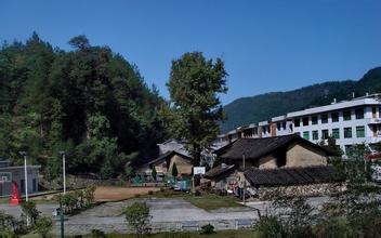 泰顺徐岙古村落天气 泰顺徐岙古村落天气