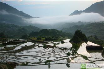云和梅源梯田天气 云和梅源梯田天气